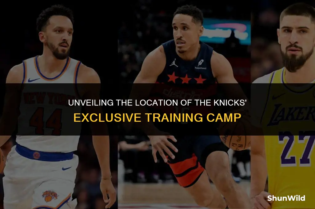 where is knicks training camp