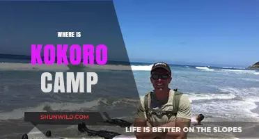 Discovering Kokoro Camp: A Hidden Gem in the Wilderness