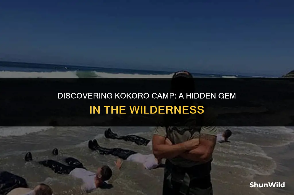 where is kokoro camp