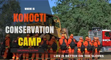 Discovering Konocti Conservation Camp: A Hidden Gem in Nature