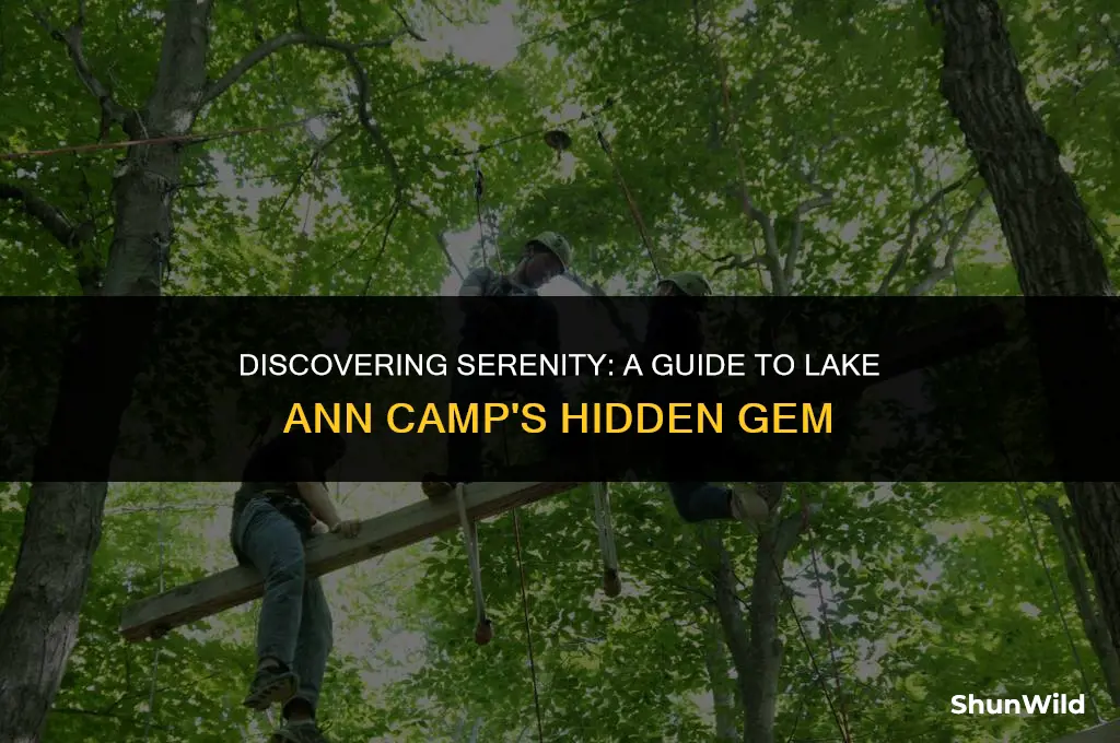 where is lake ann camp