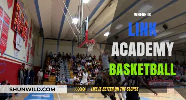 Link Academy Basketball: Where Champions are Made
