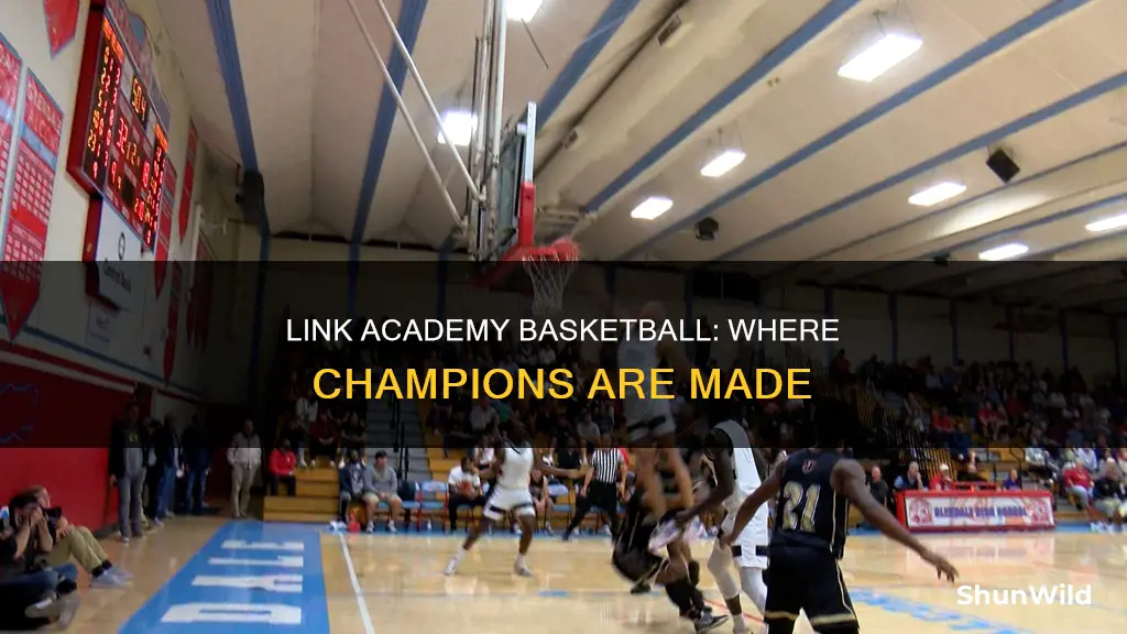 where is link academy basketball