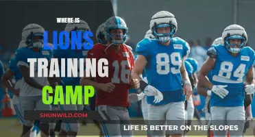 Exploring the Pride's Playground: Inside the Lions' Training Camp