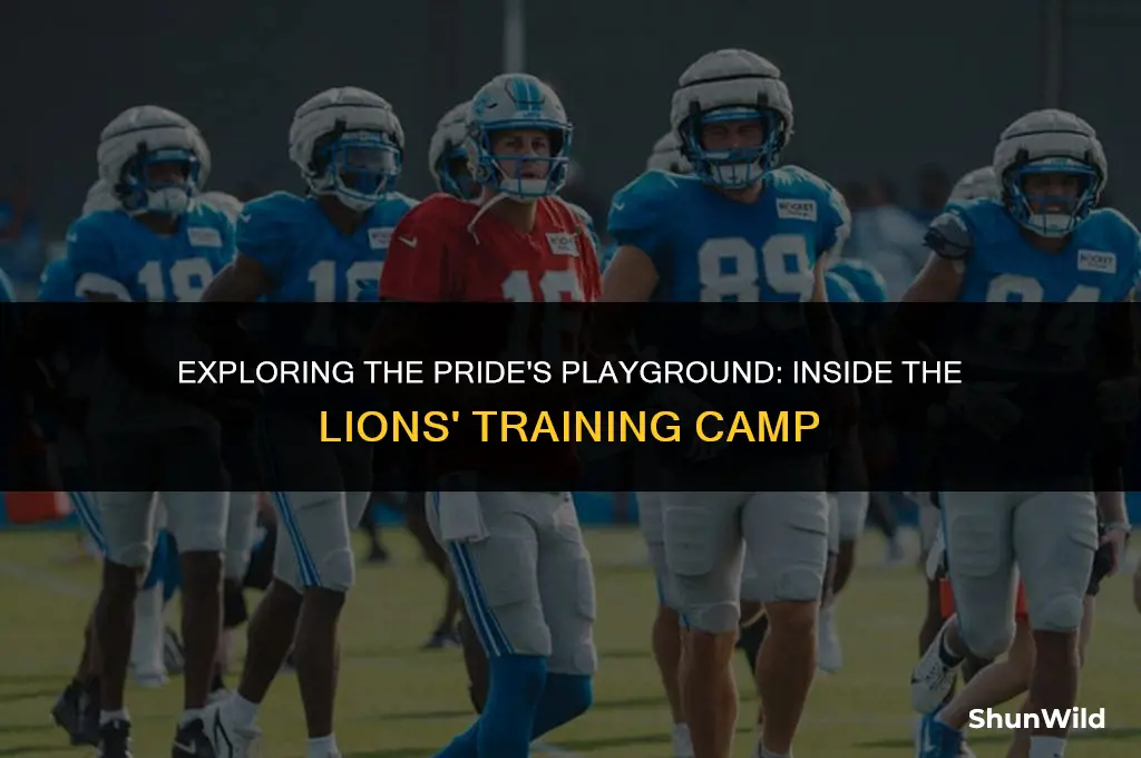 where is lions training camp
