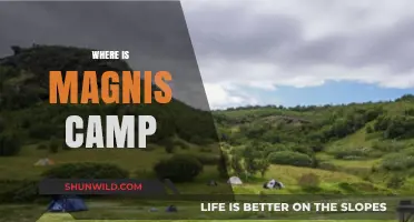Exploring the Enigmatic Magnis Camp: A Journey into the Unknown