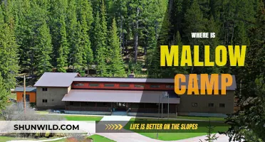 Exploring the Enchanting Mallow Camp: A Hidden Gem in Nature's Embrace