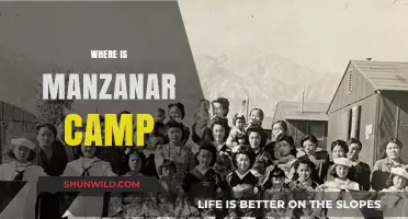 Unveiling Manzanar: A Journey to the Historic Internment Camp