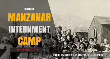 Unveiling Manzanar: A Journey to the Heart of Internment History