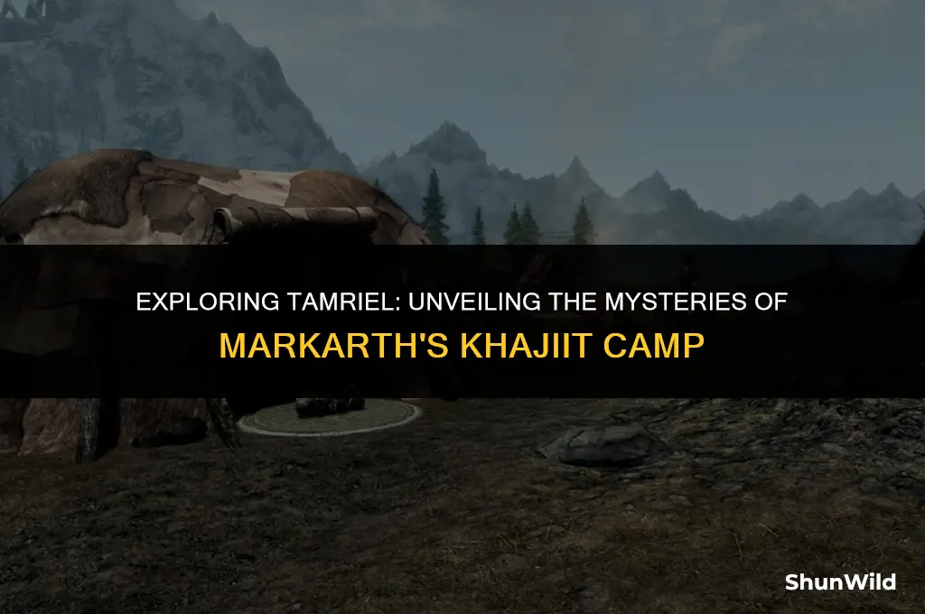 where is markarth khajiit camp