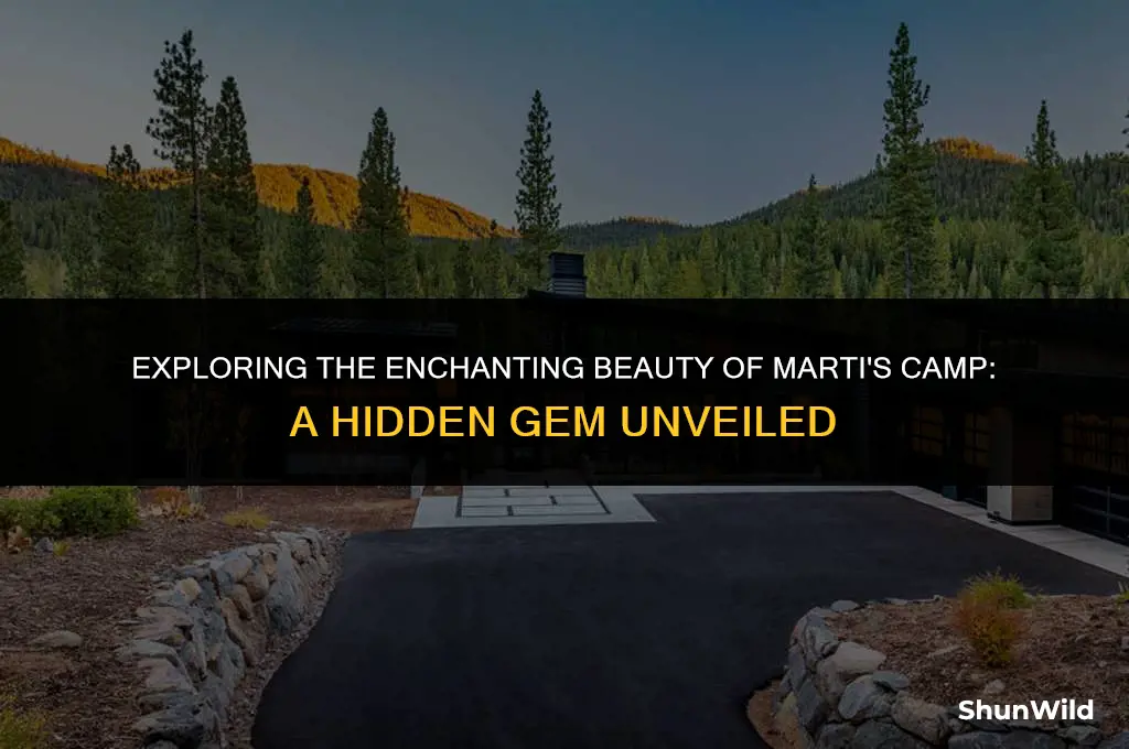 where is martis camp