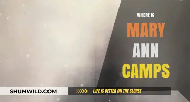 Exploring the Mystery: Where is Mary Ann Camps?