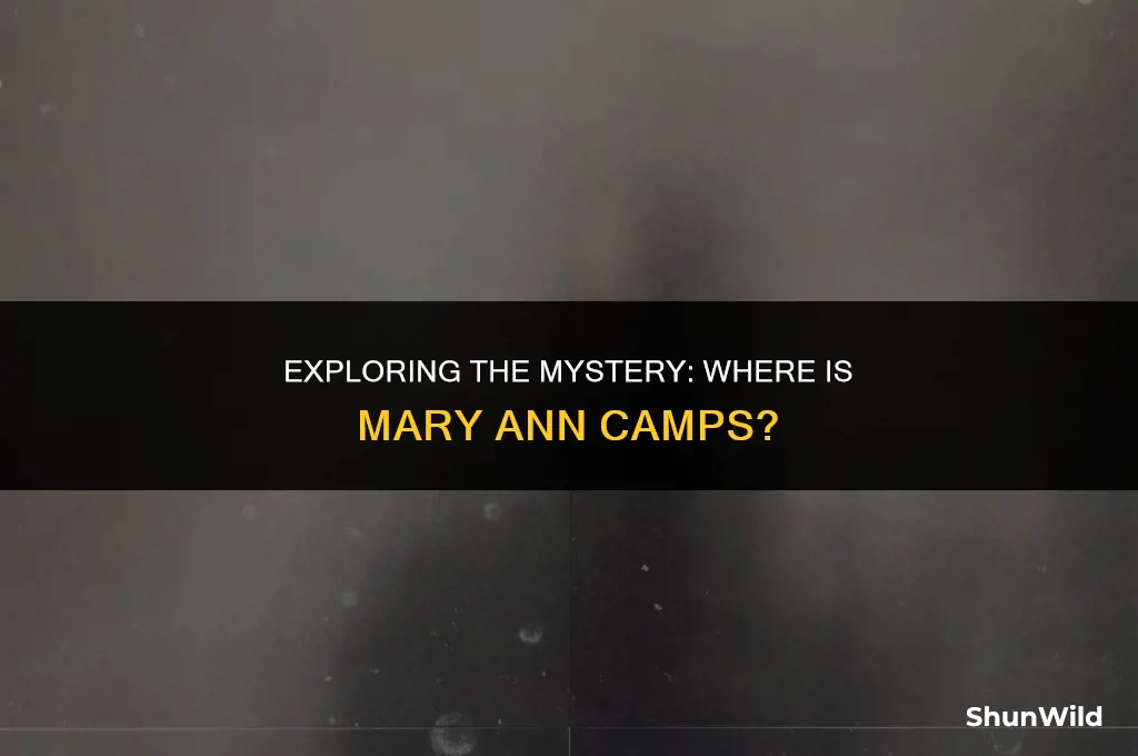 where is mary ann camps