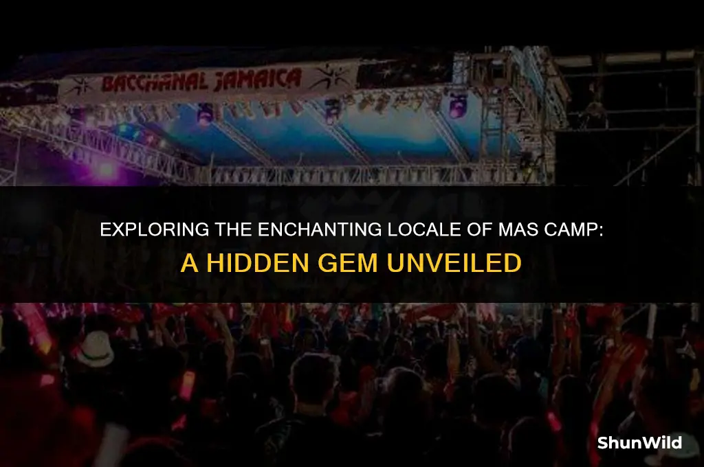 where is mas camp located