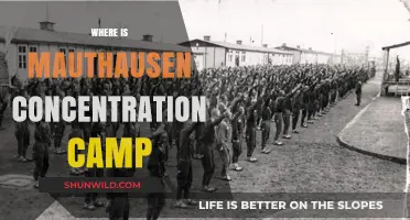 Mauthausen Concentration Camp: Location, History, and Memorial Site Guide