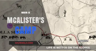 Unveiling the Mystery: Where is McAlister's Camp Located?