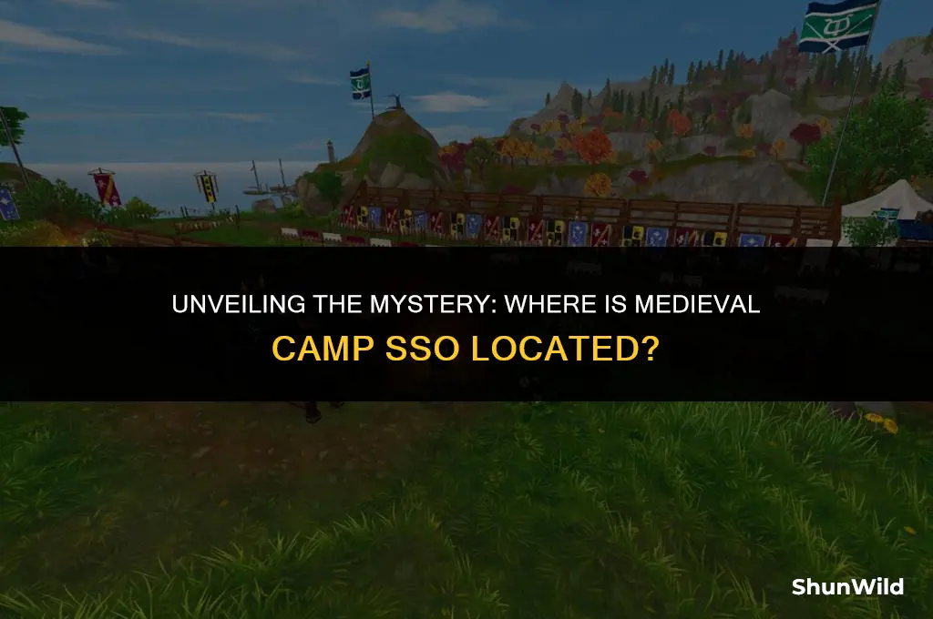 where is medieval camp sso