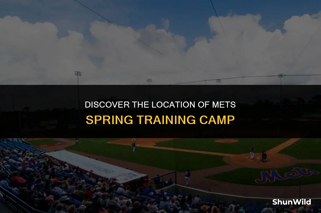 where is mets training camp