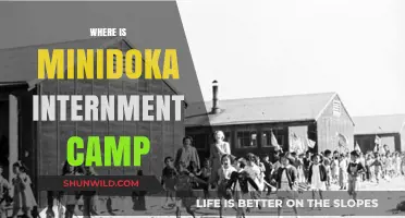Unveiling the Haunting Legacy of Minidoka Internment Camp