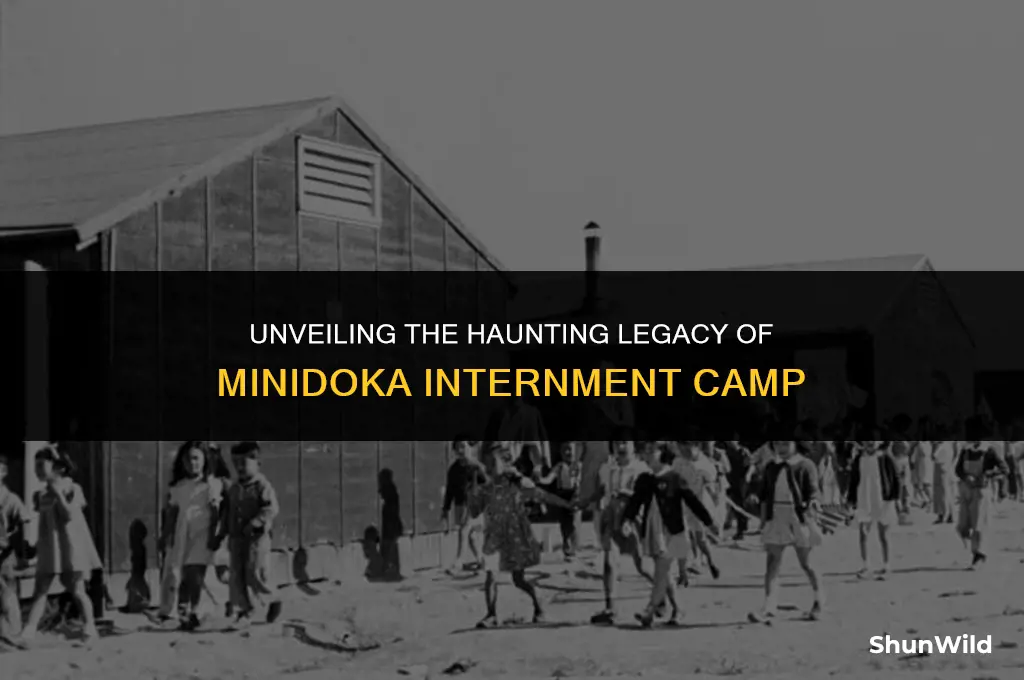 where is minidoka internment camp