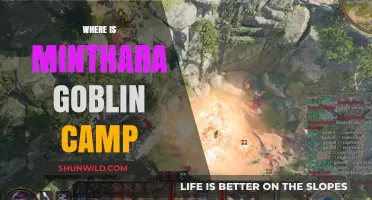 Exploring the Enigmatic Depths: Where is Minthara Goblin Camp?
