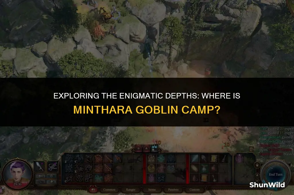 where is minthara goblin camp
