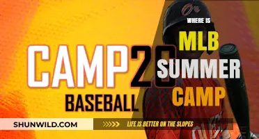 Discover the Ultimate MLB Summer Camp Experience Near You!