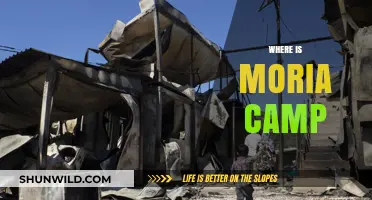 Unveiling Moria: A Journey to the Heart of Moria Refugee Camp