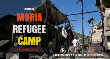 Seeking Refuge: The Moria Camp's Journey and Current Status