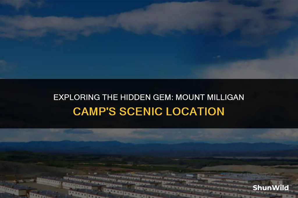 where is mount milligan camp