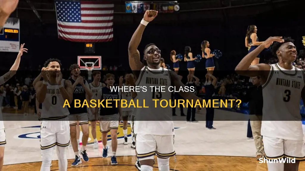 where is mt class a basketball tournament