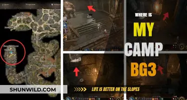 Unveiling the Mystery: Where is My Camp in Baldur's Gate 3?