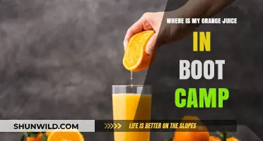 Finding Orange Juice in Boot Camp: A Survival Guide for Recruits