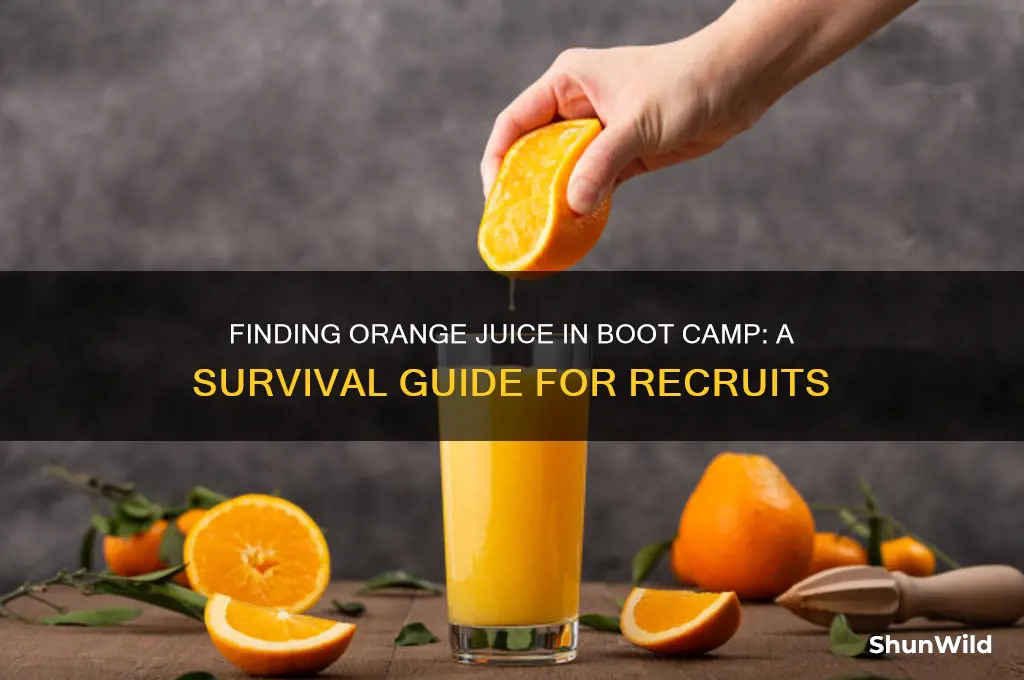 where is my orange juice in boot camp