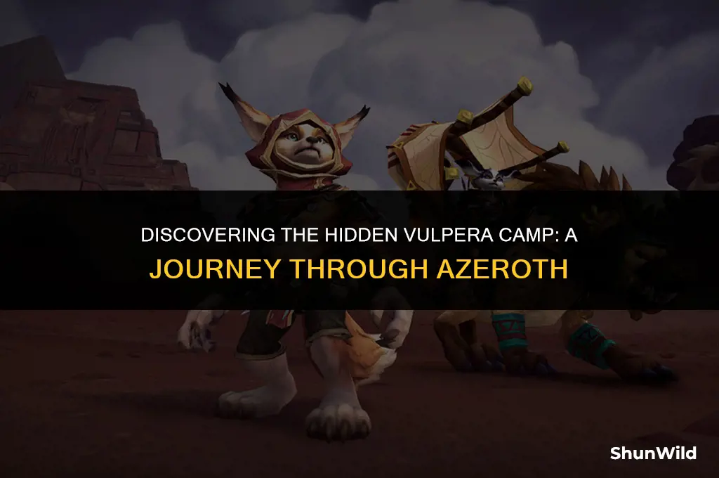 where is my vulpera camp