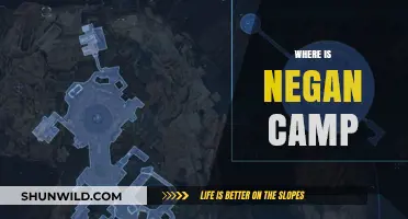 Exploring the Mystery: Where is Negen Camp Located?