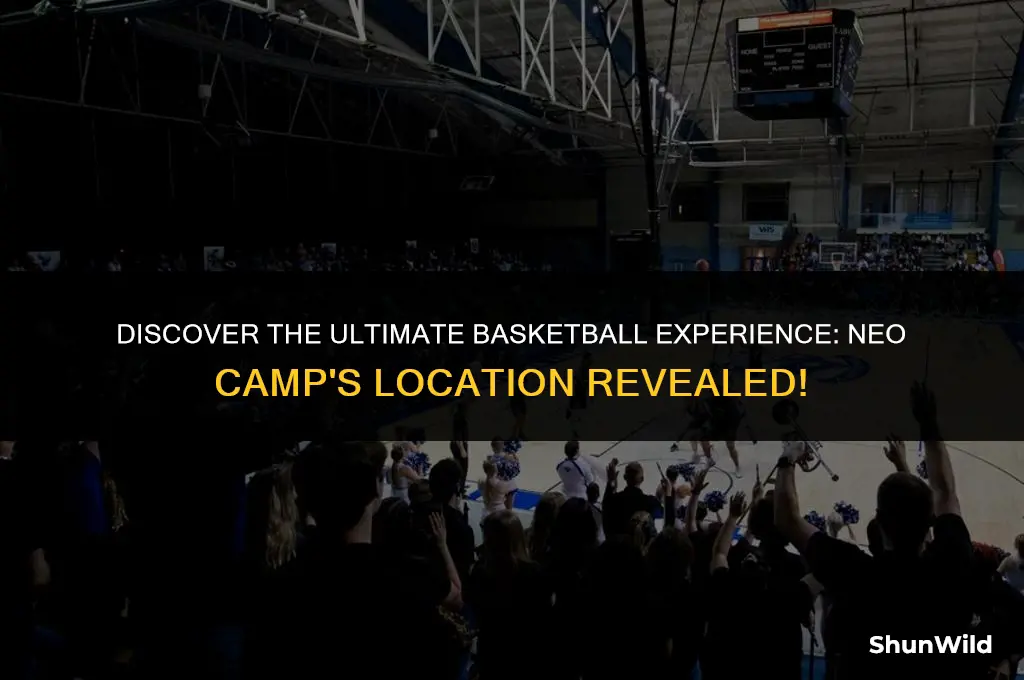 where is neo basketball camp