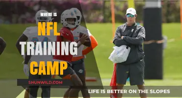 Exploring the Locations of NFL Training Camps: A Comprehensive Guide