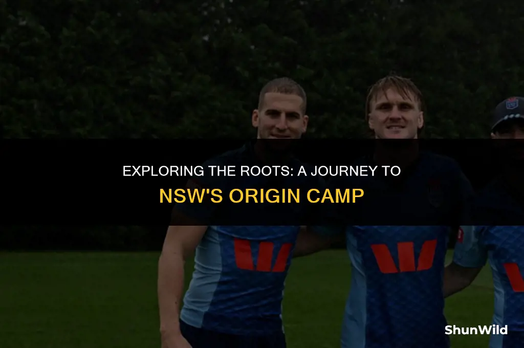 where is nsw origin camp