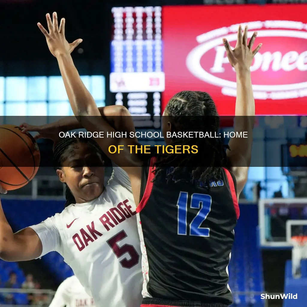 where is oak ridge high school basketball