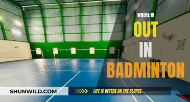 Badminton Court: Understanding the 'Out' Zones