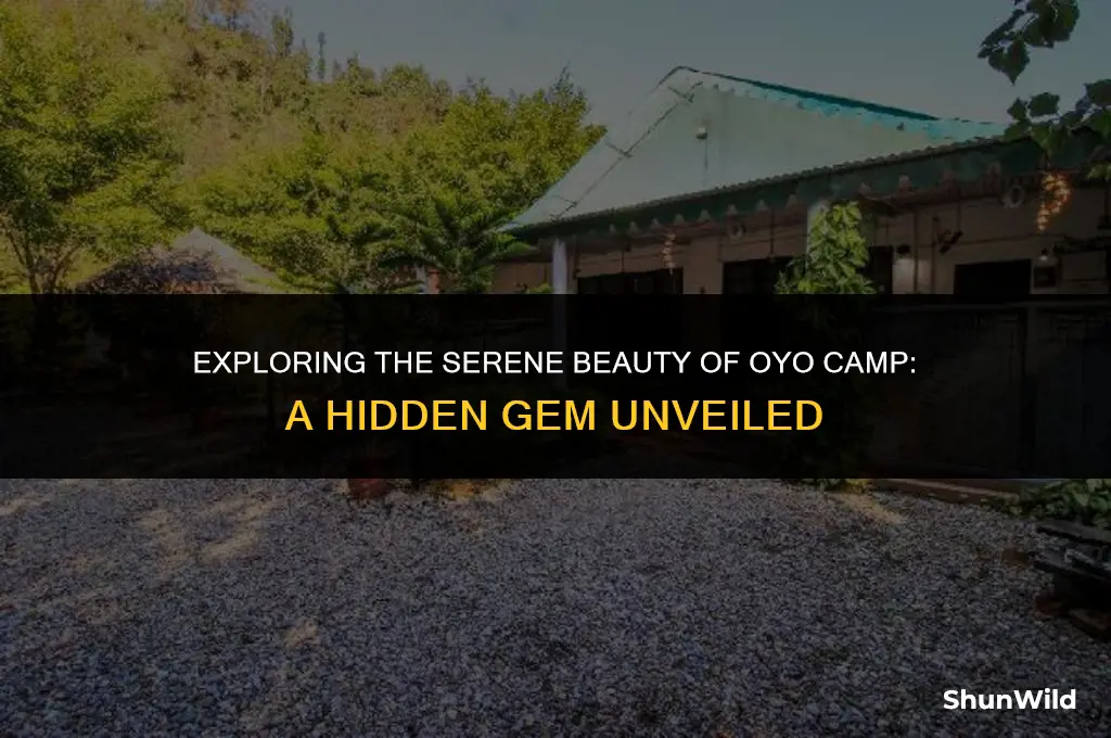 where is oyo camp