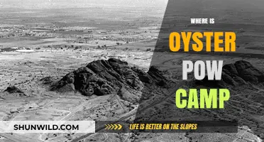 Exploring the Hidden Gem: Oyster Pow Camp's Secret Location Revealed