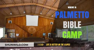 Discovering Palmetto Bible Camp: A Journey to Faith and Fun