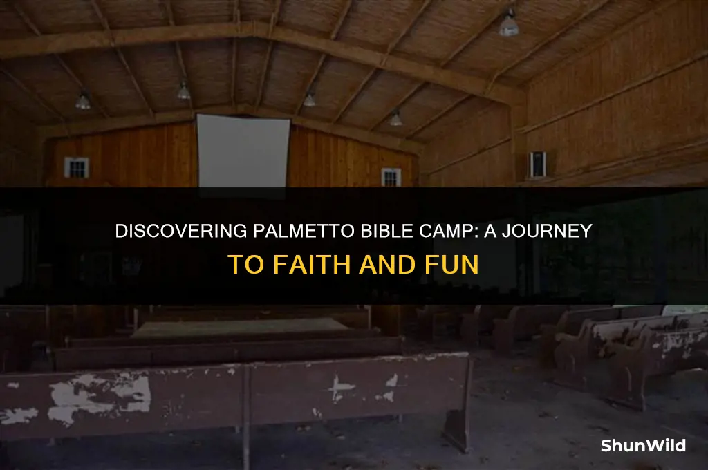 where is palmetto bible camp