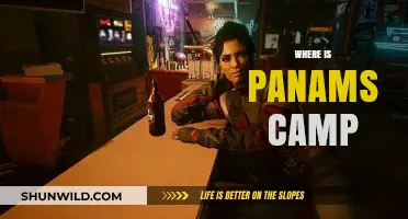 Exploring the Mythical Panams Camp: A Journey into the Unknown
