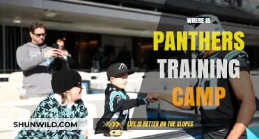 Discover the Location of Panthers Training Camp This Season