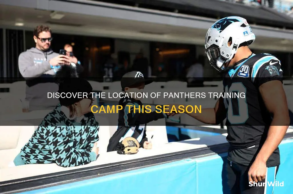 where is panthers training camp