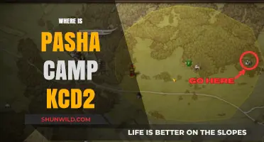 Exploring the Mystery: Where is Pasha Camp KCD2 Located?
