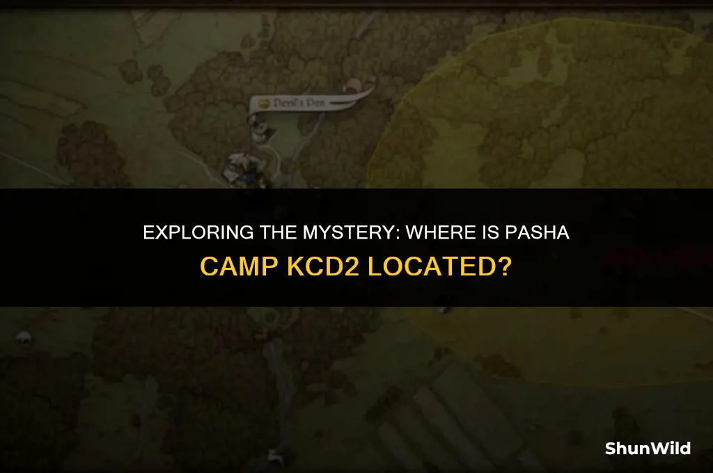 where is pasha camp kcd2